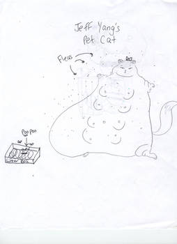 Jeff Yang's Cat