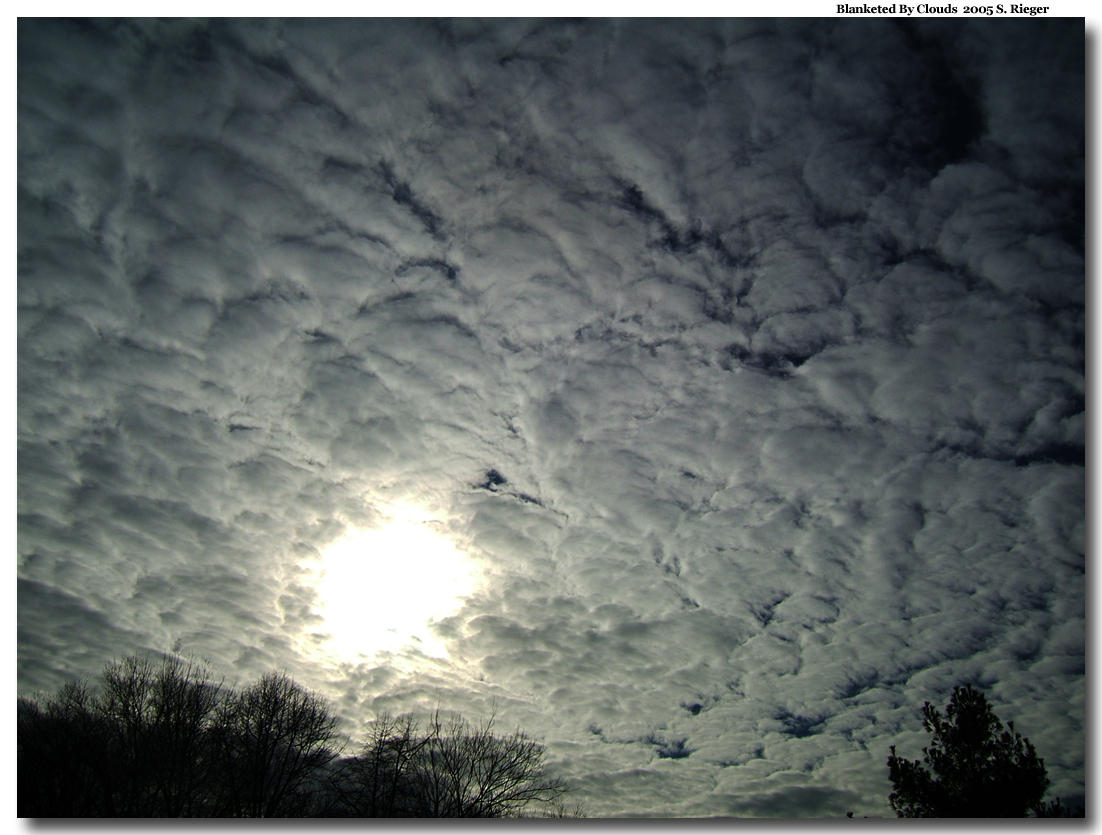 Blanketed By Clouds