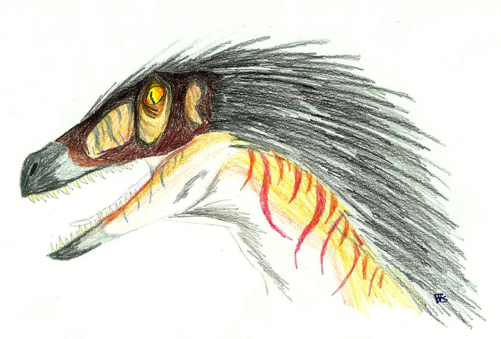 Cartoon Raptor Feathers Feathered Raptor head by BuckBowie on DeviantArt