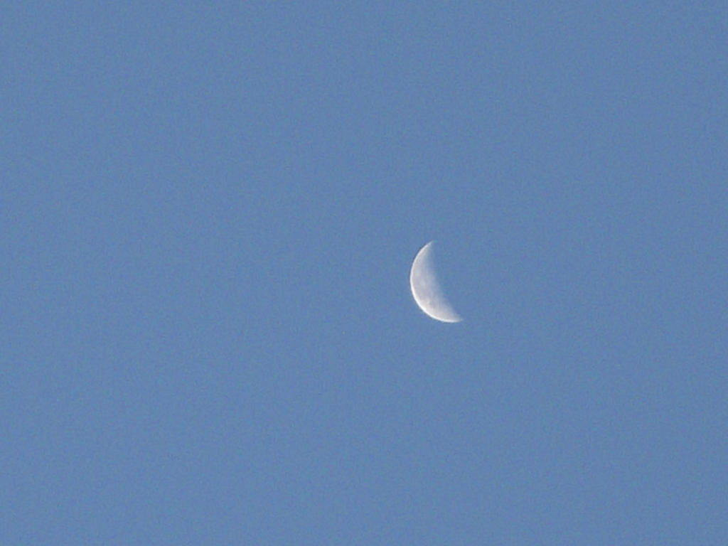 Day Moon