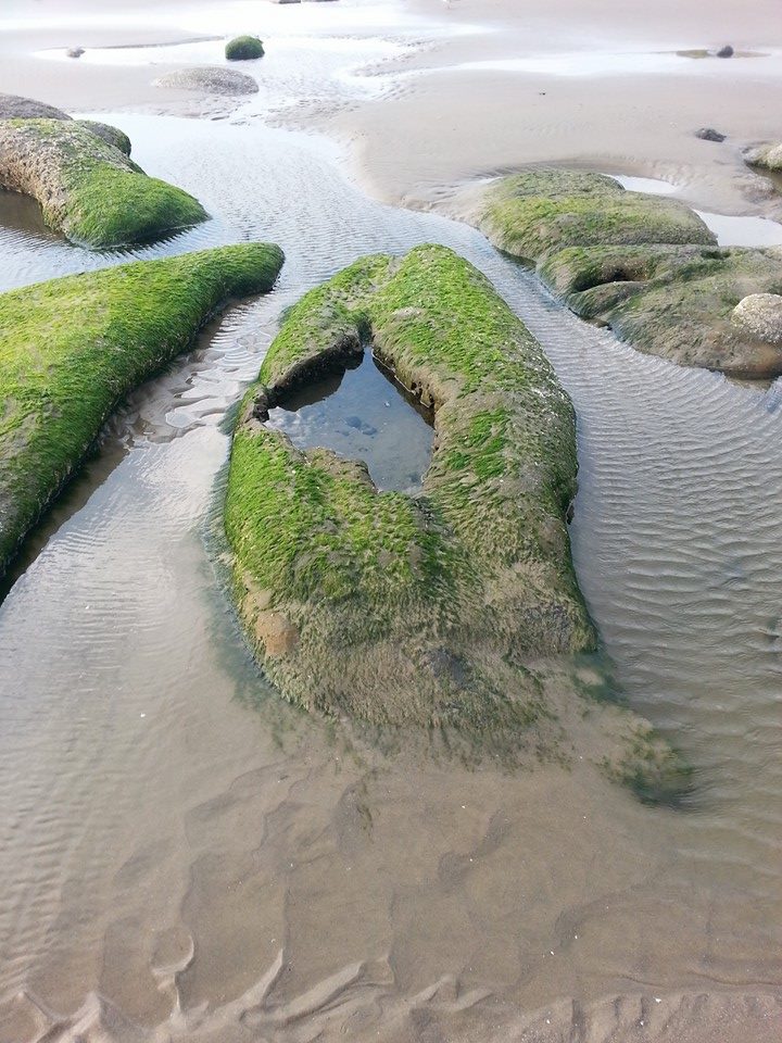 Oregon Beach