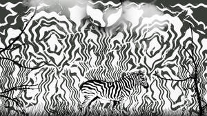 wallpaper zebra by DarDream