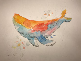 Whale (watercolor and ink) 