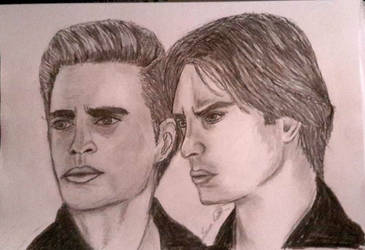 Vampire diaries brothers 