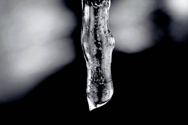 Macro Icicle