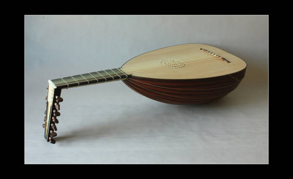 Renaissance Lute