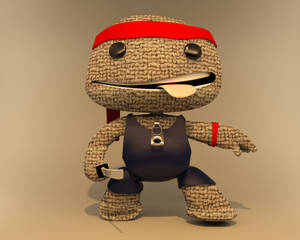 Ninja Samurai Sackboy