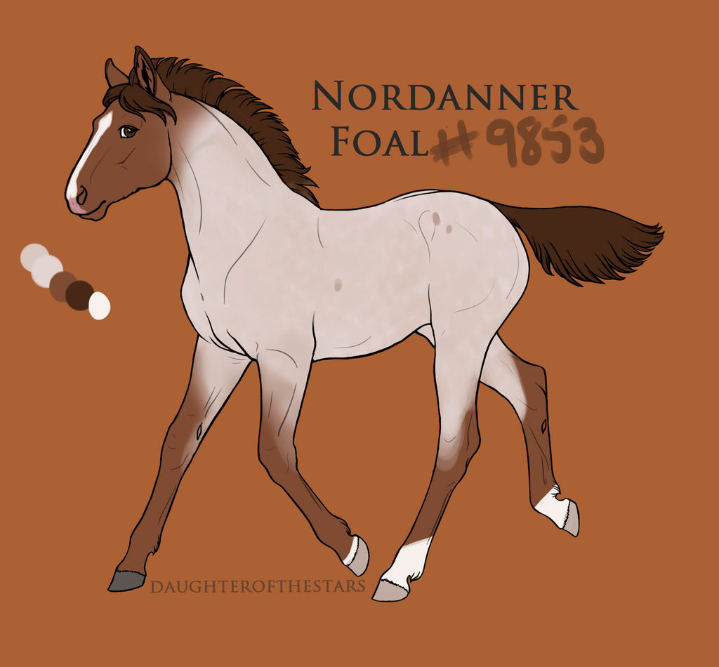 Foal9853