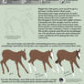 Artwork Tutorial - Horse