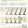 Trees Tutorial