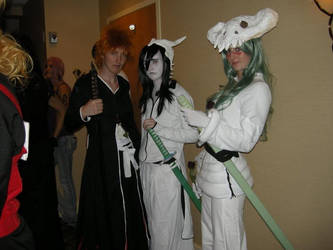 Espada and Ichigo