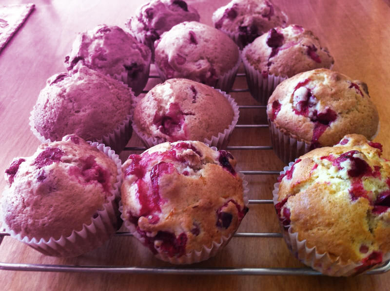 Cranberry muffins