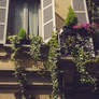 Milanese balconies 17'