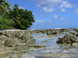 Cocos Island Seascape