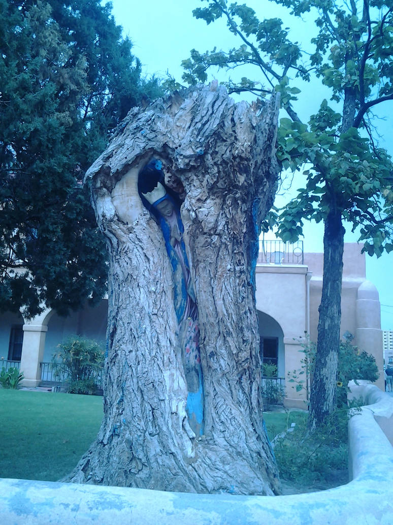Fat Mary Tree Virgin Mary's Tree by ienzo628 on DeviantArt