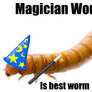 Magician Mealworm! XD