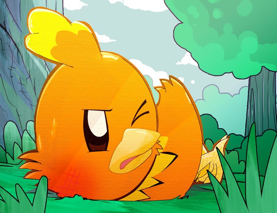 Torchic Doctor Torchic by MarsAtzuko on DeviantArt
