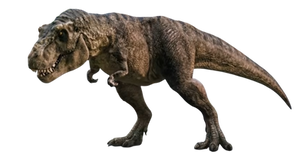 Jurassic Park 1993 : REXY