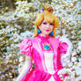 SSBU Princess Peach Cosplay