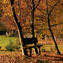 Have an autumn seat