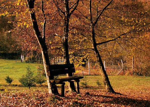 Have an autumn seat