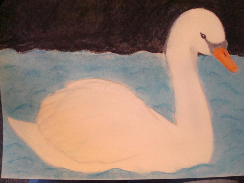 Swan