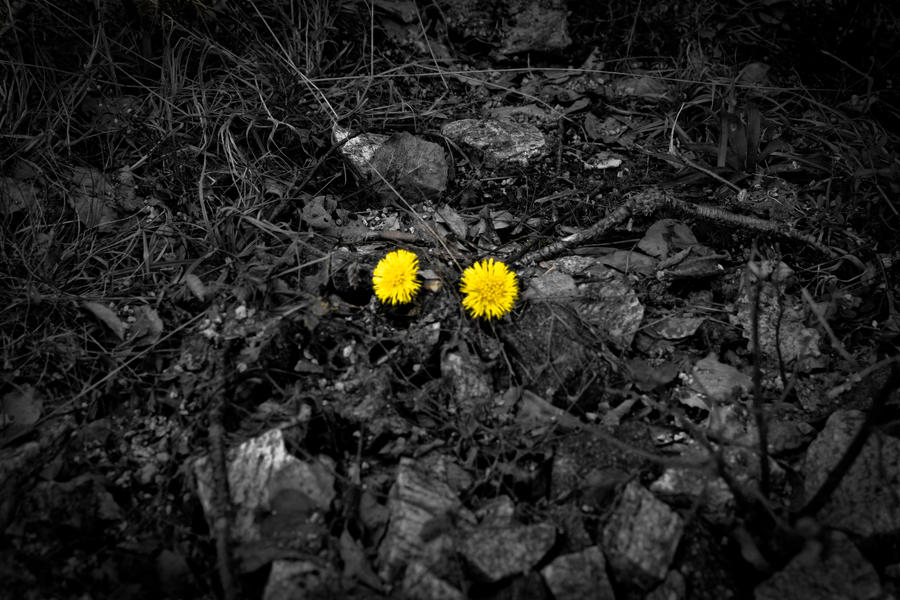 We Stand Alone Together by o0Hawkz0o on DeviantArt