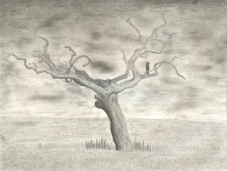 Dead tree Sketch