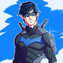 SOB: Nightwing
