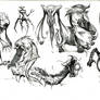 Creature Doodles