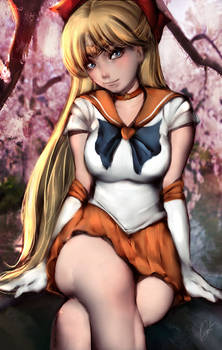 Sailor Venus( Minako Aino)