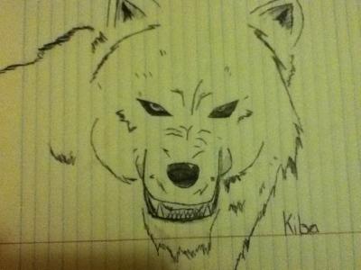 kiba from wolfs rain