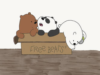 Free Bears!