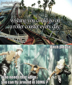 Roller coaster or 3DMG