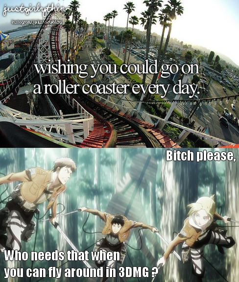 Roller coaster or 3DMG