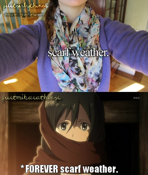 Just Mikasa things