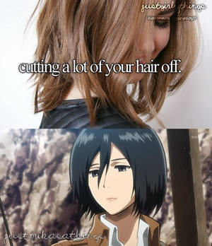 Just Mikasa things 2