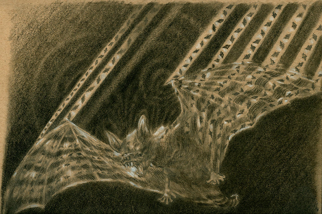Striped Bat by Ezekiel-Black on DeviantArt
