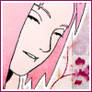 Sakura Icon