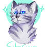 Silverstream doodle