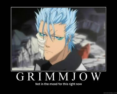 Grimmjow Demotivates You