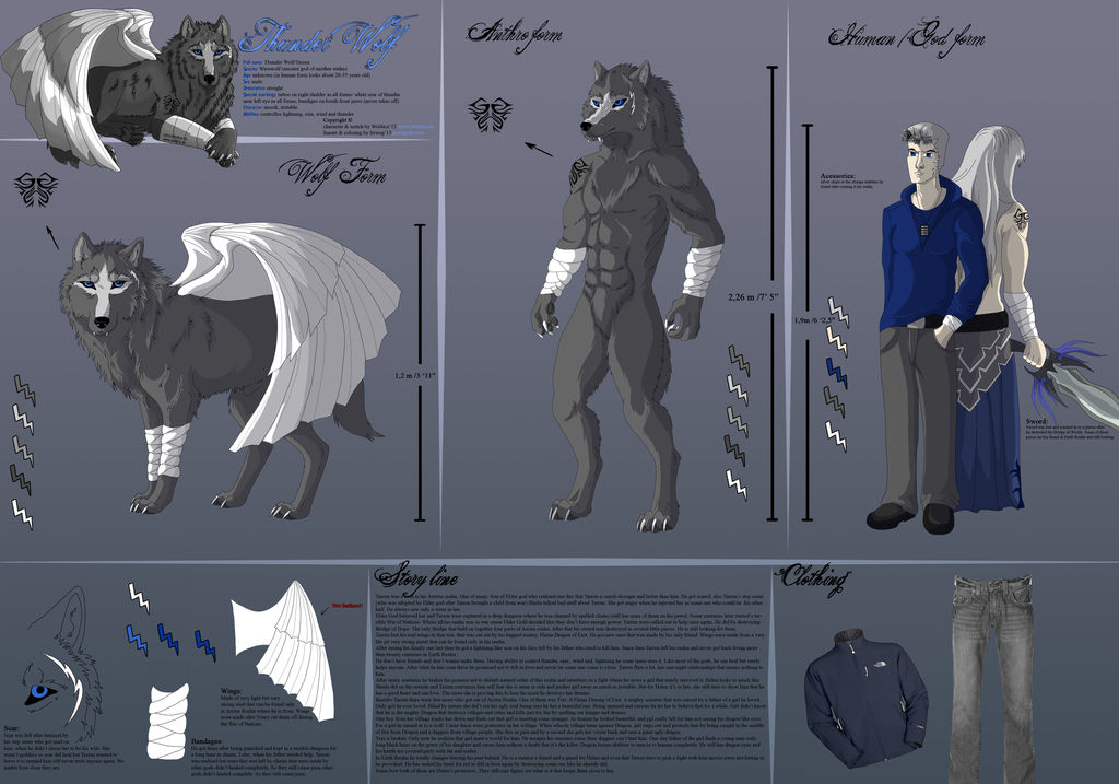 ThunderWolf's Ref by Wol4ica