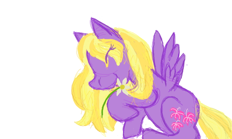 Blossom