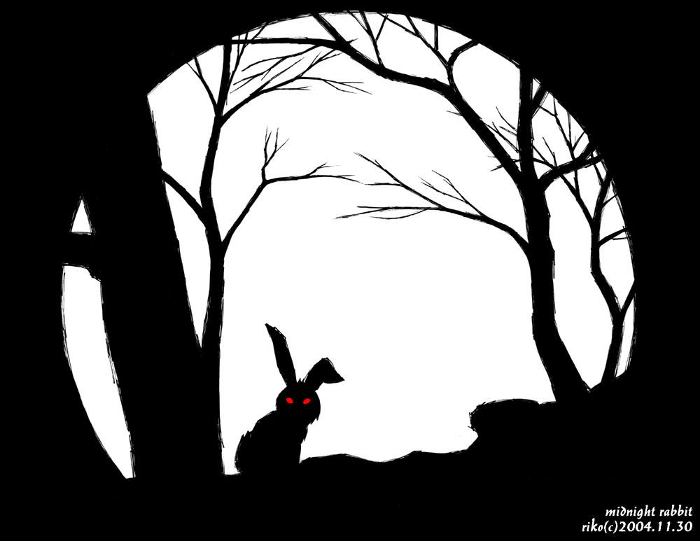 Midnight Rabbit by riko-kun on DeviantArt
