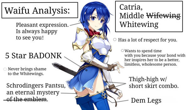 Waifu Analysis: Catria Middle Wifewing