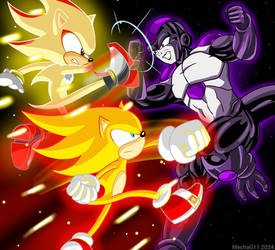 Super Sonic and Super Shadow vs Black Frieza