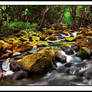 Kauai Northshore Stream