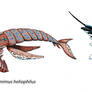 Ceticarids
