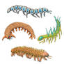 Lobopods