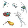 Glowworm Nautilus Passengers